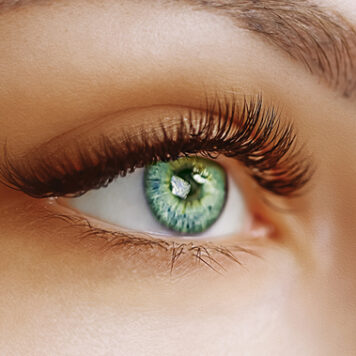 Lash Lift & Tint at Gentle Touch Spa & Laser